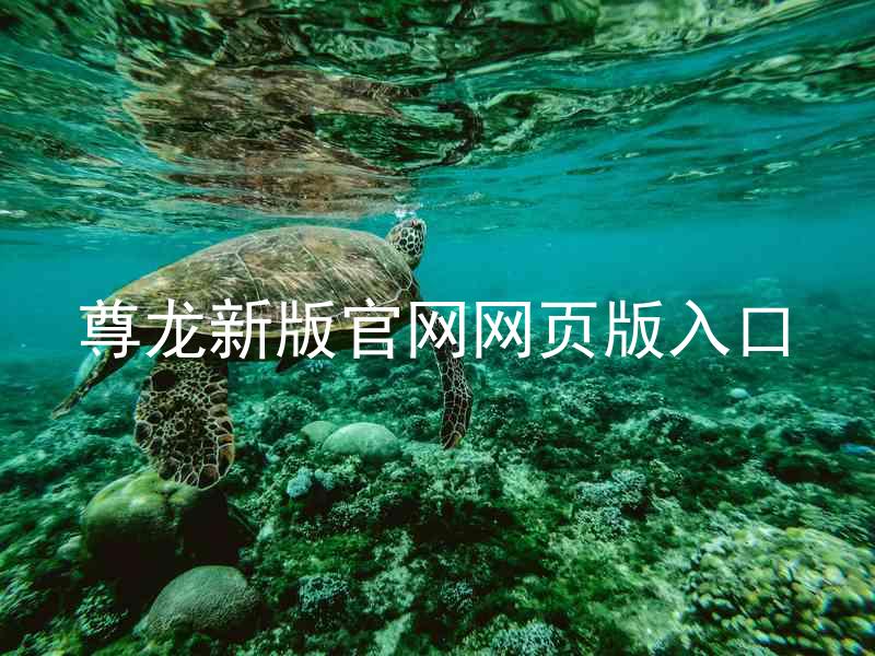 尊龙新版官网网页版入口