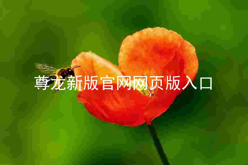 尊龙新版官网网页版入口